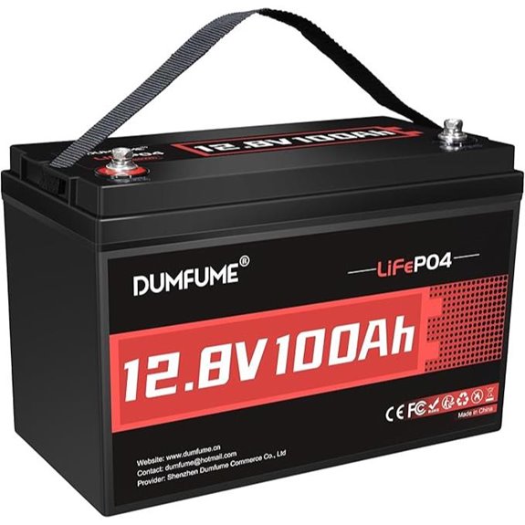 12V 100Ah LiFePO4 Lithium Battery with BMS