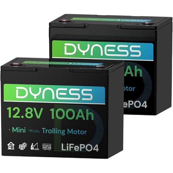 12 volt 100ah lifepo4