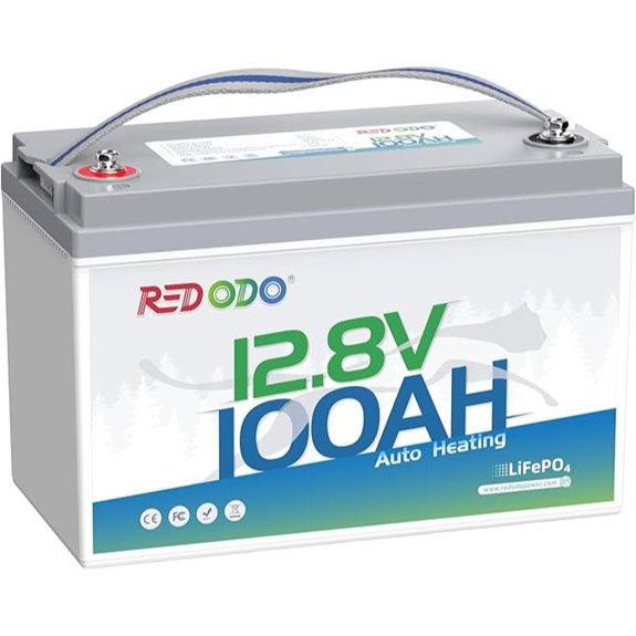 Redodo 12V 100Ah LiFePO4 Battery with BMS