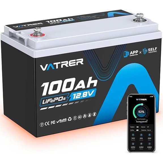 12V 100Ah Lithium Battery with BMS and Low Temp Support