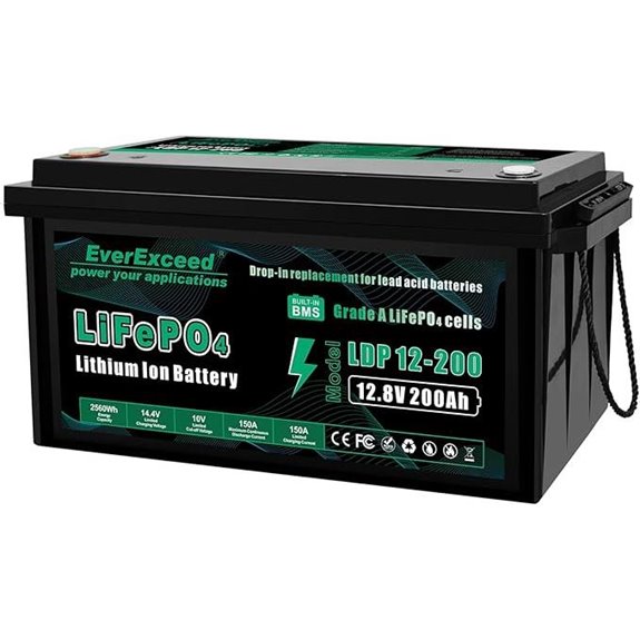 EverExceed 12V 200AH LiFePO4 Battery with BMS