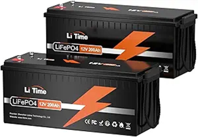 Litime 2-Pack 12V 200Ah LiFePO4 Battery with BMS