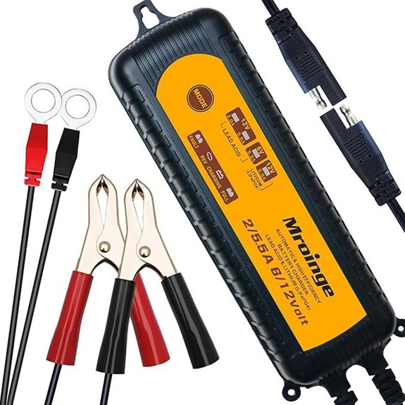 12V/6V Smart Waterproof Car Battery Charger