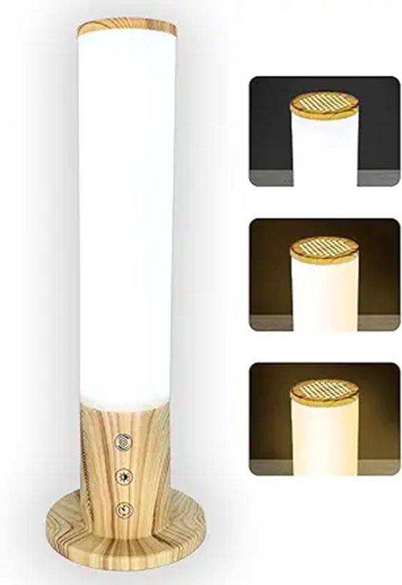 Light Therapy Lamp with Adjustable Brightness & Timer