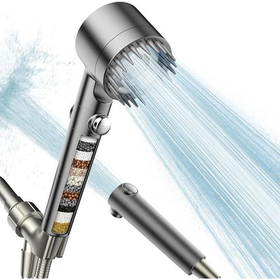 Filtered Handheld Shower Head with Multiple Spray Modes