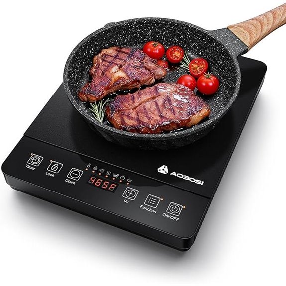 Portable Induction Cooktop with Temperature & Power Control