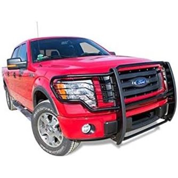 Black Horse Ford F-150 Grille Brush Bumper Guard