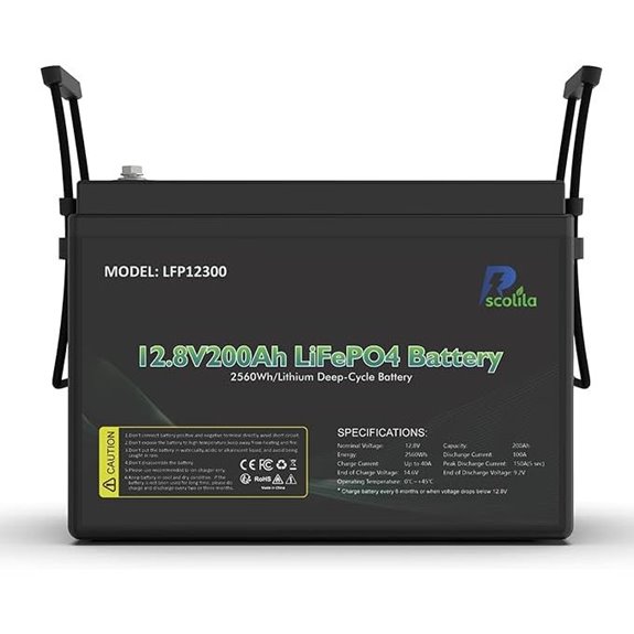 12V 200Ah LiFePO4 Battery with BMS and High Cycles