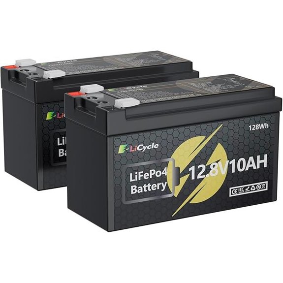 lifepo4 12v battery