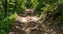 mastering terrain reading skills