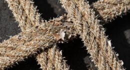 signs of wear and tear