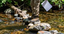 evaluate water crossing safety