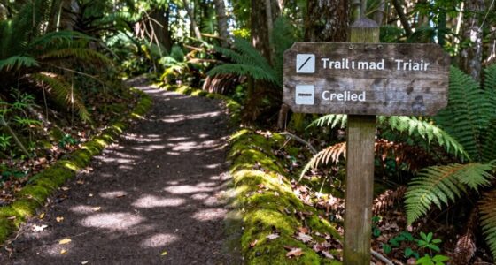 trail management for preservation
